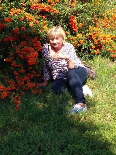 Aira társkereső