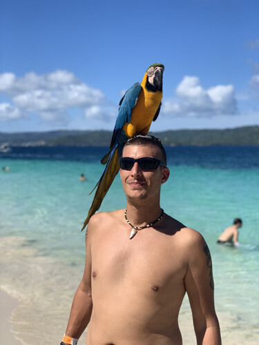 alexpapa85 társkereső