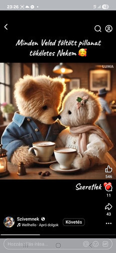 Pár8698 társkereső