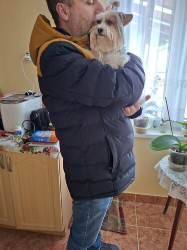 Sanyi19830301 társkereső