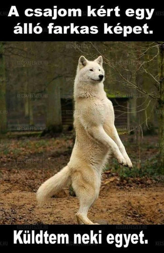 Multifilter 100 társkereső