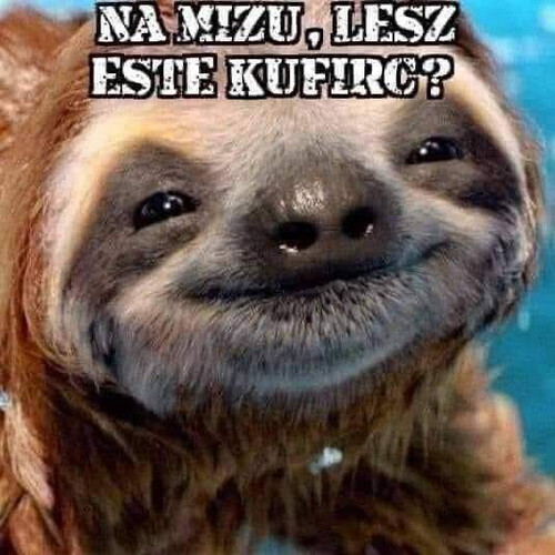 Kolbász társkereső