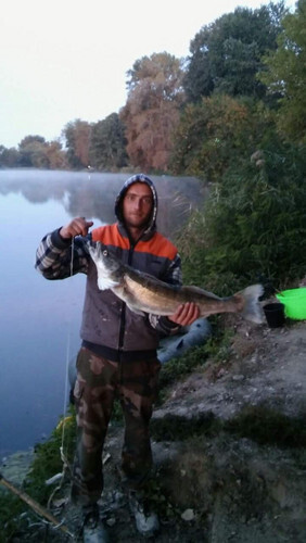 Dávid 28 társkereső